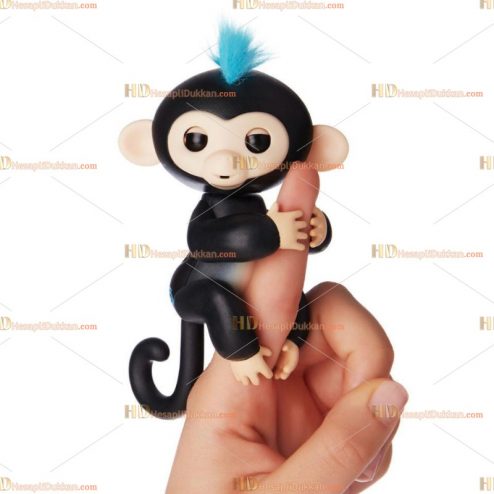 Toptan fingerlings