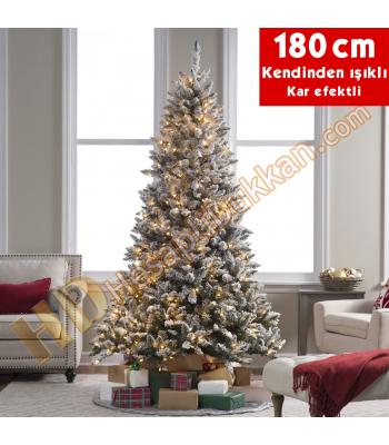kırmızı yılbaşı ağacı, kırmızı çam ağacı