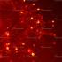 10 metre şeffaf kablo Kırmızı 100 led fonksiyonel Yılbaşı ışığı