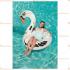 165x117 cm flamingo simit 2 renk