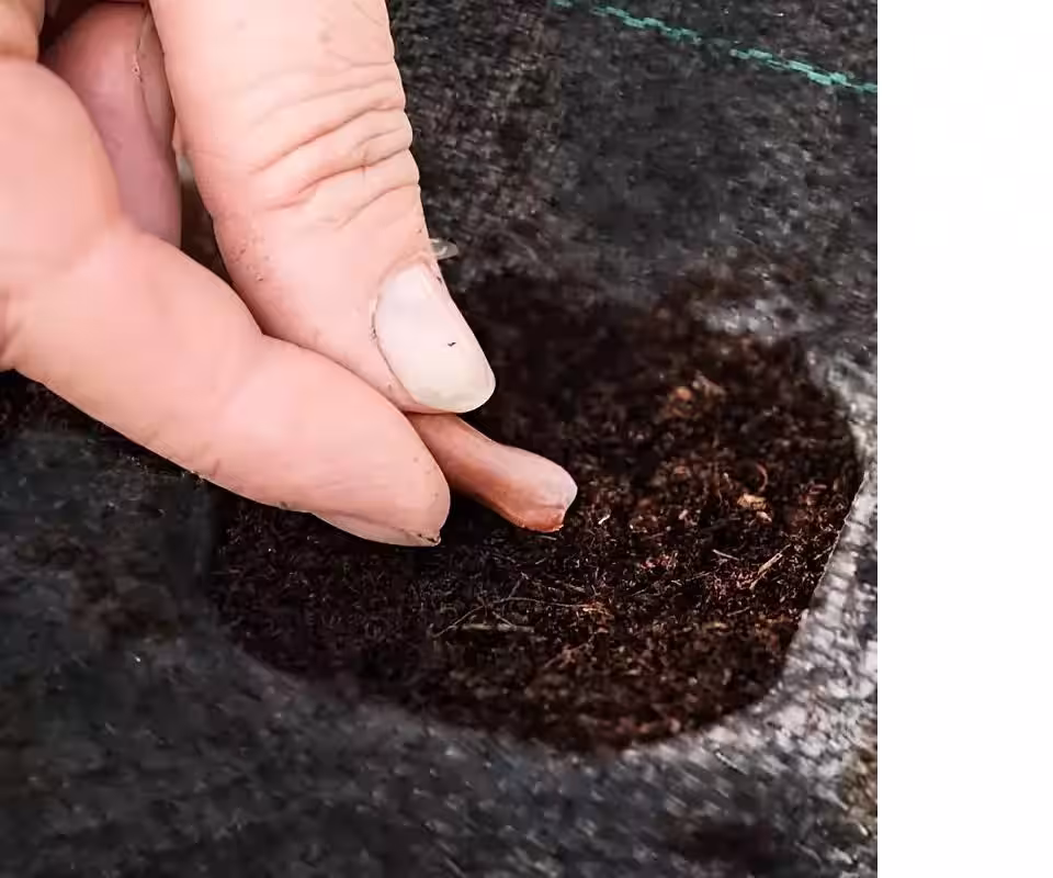 Bahçe Yabani Ot Bariyer Matı Toptan