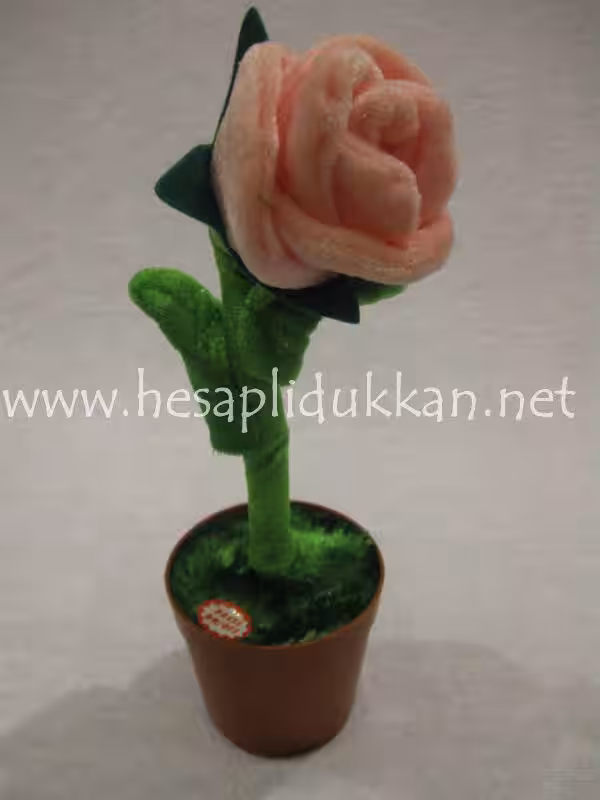 Danseden çiçek P467