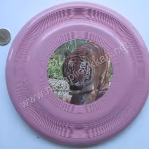 Frisbee P107