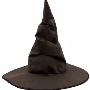 Harry Potter Seçmen Şapkası Çocuk Boy