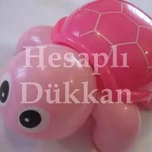 ipli ve çınçınlı kaplumbağa P296