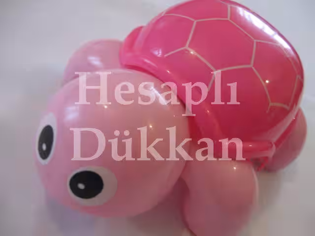 ipli ve çınçınlı kaplumbağa P296