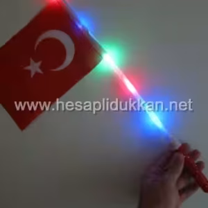 Işıklı bayrak P004