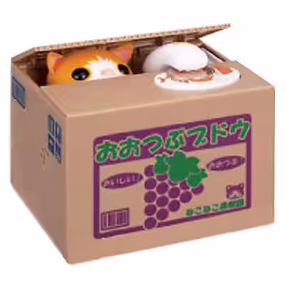 Kedi kumbara R10