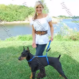 Köpek eğitim tasması instant triner leash toptan satış