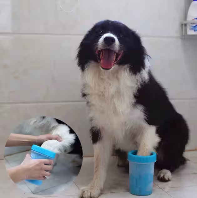 Küçük Köpek Pati Temizleyici