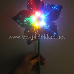 Led Işıklı rüzgar gülü P611