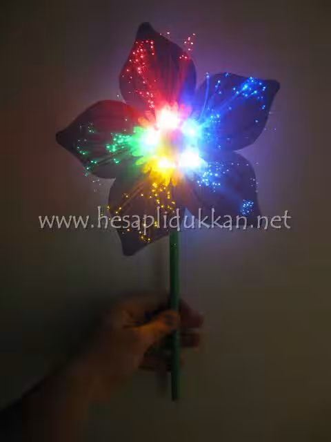 Led Işıklı rüzgar gülü P611