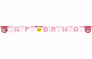 MINNIE & DAISIES HAPPY BIRTHDAY SET