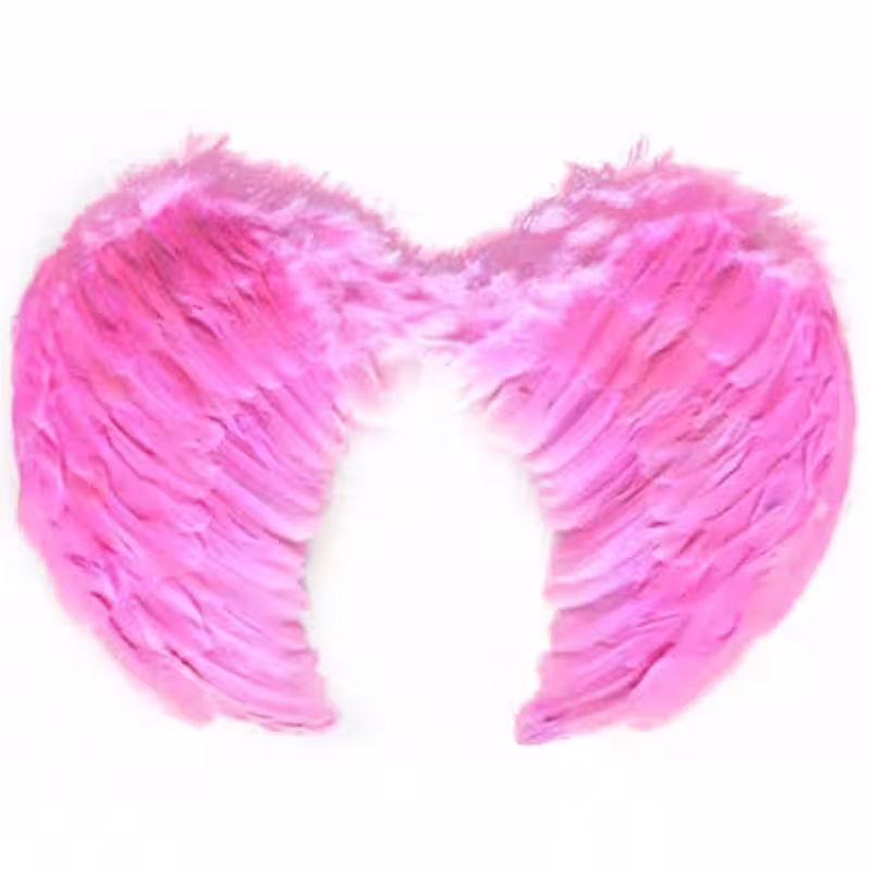 Pembe Çocuk Melek Kanadı