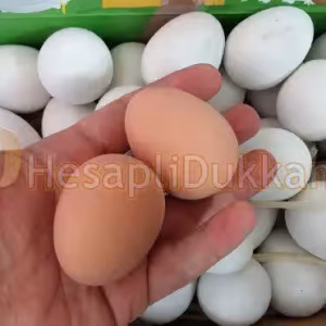 Plastik yumurta toptan ilginç oyuncaklar şaka malzemeleri