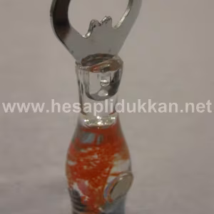 Şişe şeklinde akvaryum açacak buzdolabı süsü P355