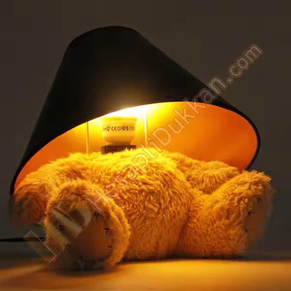 Teddy Bear Lamba Sevgililer Günü Hediyesi