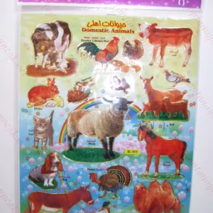 Toptan A4 sticker TOY1011