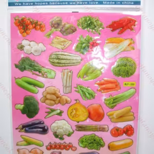Toptan A4 sticker TOY1019