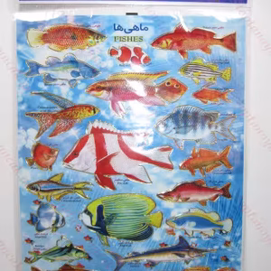 Toptan A4 sticker TOY1026