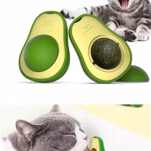 Toptan Avakado Kedi Nanesi Topları