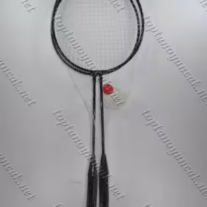 Toptan badminton fileli