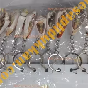 Toptan deniz kabuğu anahtarlık