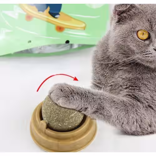 Toptan Kedi Nanesi Oyun Topu