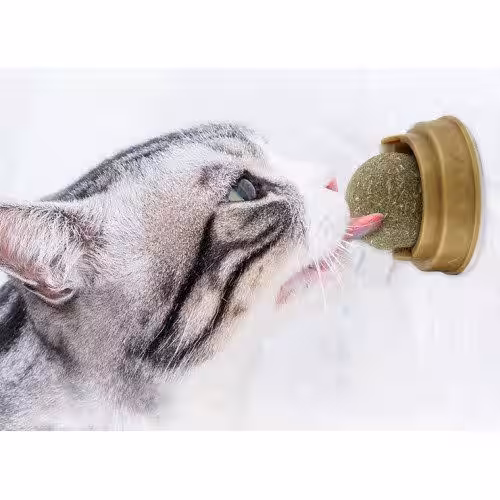 Toptan Kedi Nanesi Oyun Topu