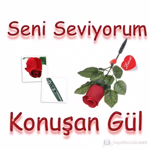 Toptan konuşan gül