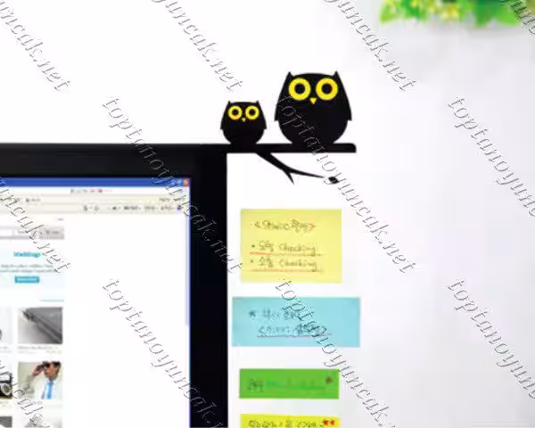 Toptan Monitör Kenarı Baykuş Notluk