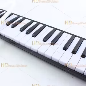 Tuşlu melodika çantalı siyah