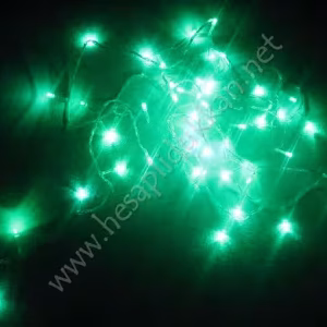 Yılbaşı ışıkları 5 metre led ışık P981