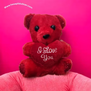 Ucuz Peluş Ayıcık Toptan