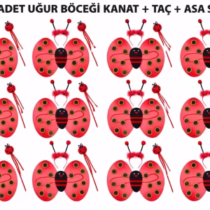Uğur Böceği Kostüm Seti - Kanat Taç Asa 3 Parça 12 Adet