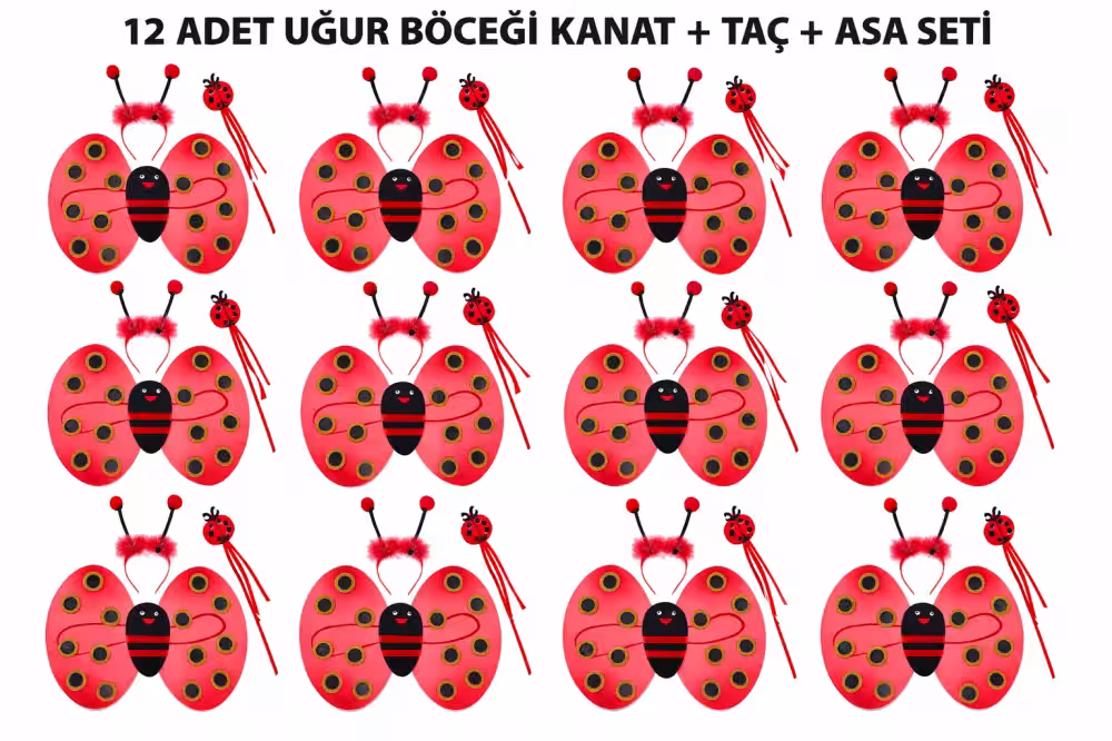 Uğur Böceği Kostüm Seti - Kanat Taç Asa 3 Parça 12 Adet