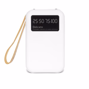 BayCHIP Powerbank 10000 mAh